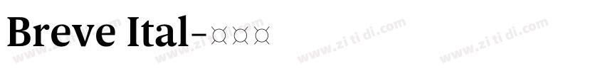 Breve Ital字体转换